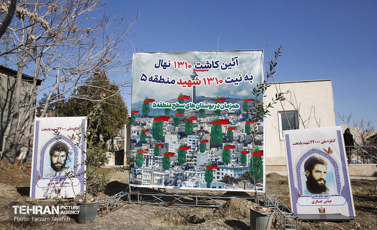 آیین کاشت 1310 نهال در منطقه 5 33