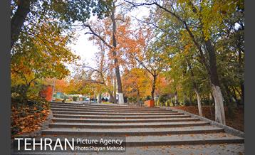 پاییز در پارک های تهران 21