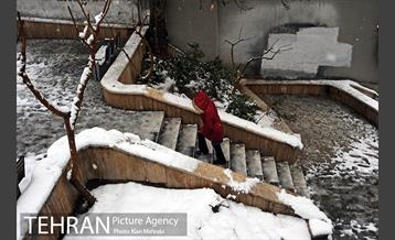 بارش برف زمستانی در تهران 36