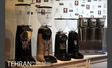 نخستین جشنواره «کافه، مقصد گردشگری شهری» در باغ موزه قصر‎ 6