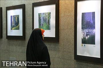 افتتاحیه نمایشگاه عکس چهار فصل کشور فنلاند 18