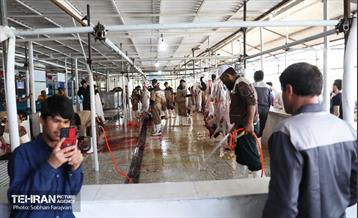 مرکز عرضه دام بهداشتی به مناسبت عید قربان 23