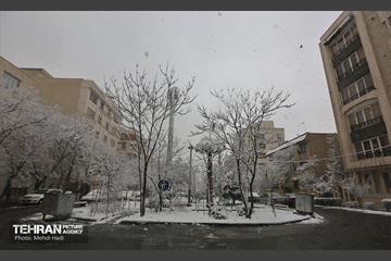 روز برفی در منطقه 8