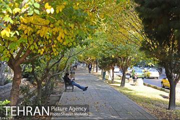 طبیعت پاییزی بلوار کشاورز 6