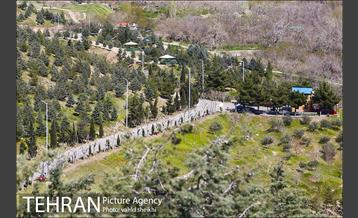 بوستان جنگلی کوهسار 16