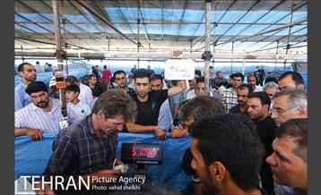 عرضه بهداشتی دام در جایگاه منطقه 2 شهرداری تهران  11