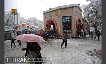 بارش برف در تجریش 25