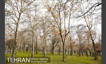 پارک ملت در یک روز زمستانی 27