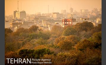 پاییز پارک شهر 5