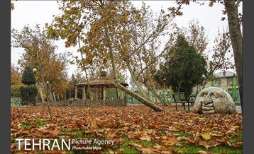 پاییز در بوستان رازی 4