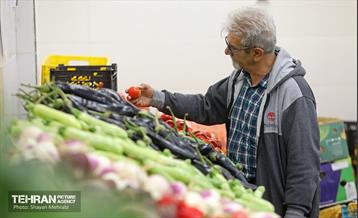 بهره‌برداری از پروژه‌های خدمات شهری در منطقه ۱۷ 24