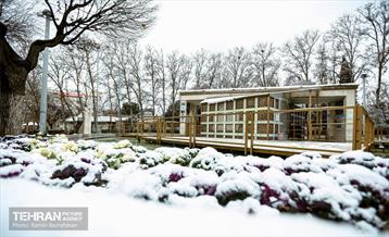 روز برفی در منطقه 8 24