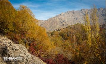 سمفونی رنگ های پاییزی - دربند 35