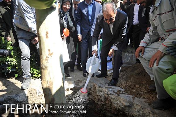 احیای درختان خیابان  ولیعصر( عج) با حضور شهردار تهران  29