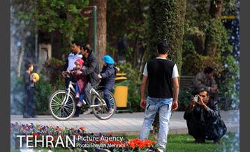 رویش گل های لاله در پارک شهر 40