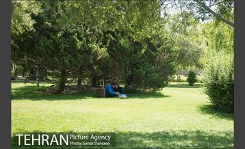 ظهر گرم تابستان 13