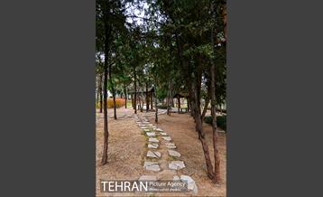 باغ راه فدک 26