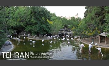 باغ پرندگان تهران 1