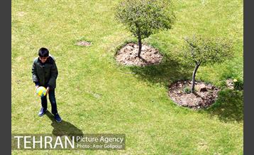 روز طبیعت در قطب گردشگری تهران‎ 12