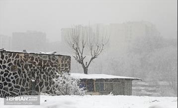 بارش برف زمستانی در تهران 43
