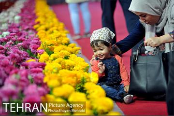 شانزدهمین نمایشگاه بین المللی گل و گیاه تهران - 2 15