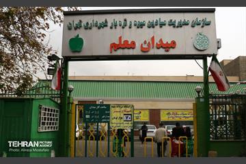 بازدید مدیرعامل سازمان تره‌وبار از میادین میوه 16