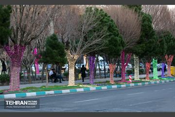 استقبال از بهار - 5 19