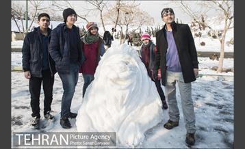 جشنواره مجسمه های برفی 14