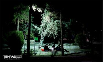 مراسم احیای شب‌ بیست‌ویکم ماه مبارک رمضان در بهشت زهرا(س) 39