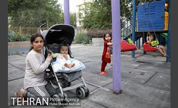 بوستان باغ حکیم 26