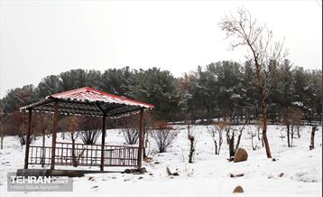 روز برفی در بوستان جنگلی سرخه‌حصار 13