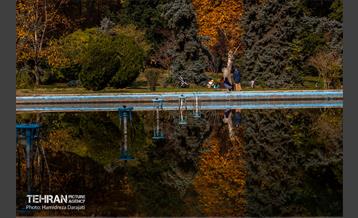 آخرین روزهای پاییزی  6