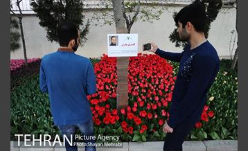 پیاده راه لاله مادران 22