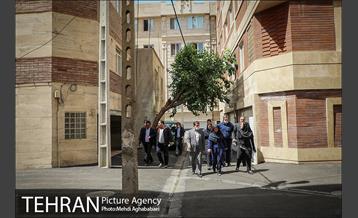 بازدید مهندس شاپور رستمی معاون هماهنگی و امور مناطق شهرداری تهران از پروژه های منطقه ۸ 12