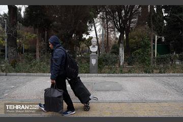 رونمایی از سردیس شهدای دانشجو 8