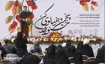 پنجمین جشنواره خرمالوی کن 10