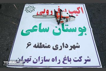 مانور برف روبی شهرداری منطقه 6 23
