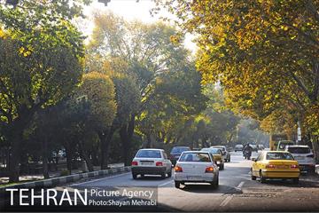 طبیعت پاییزی بلوار کشاورز 12