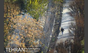 روزهای آفتابی زمستان 2