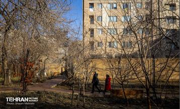 باغ گلاریس 36