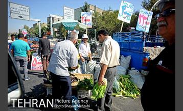 میوه فروشان خیابانی 8