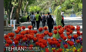 لاله های بهاری پارک شهر 3