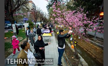 جشنواره نوروزگاه در بلوار کشاورز 17