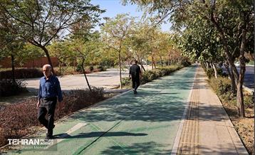 به وقت خدمت؛ باغ‌راه حضرت زهرا(س) محدوده آیت الله سعیدی 74