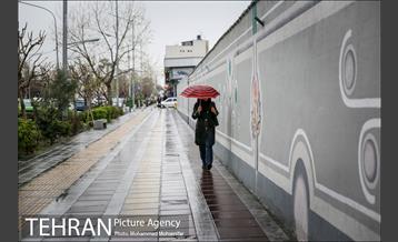 بارش باران بهاری در تهران 1