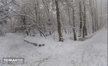 روایت مه‌و‌برف در بوستان سنگی تهران  3
