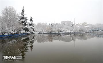 صبح برفی بوستان ملت 18