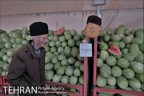 میدان میوه وتره بار شهید غیبی شهرری 1