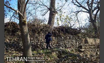 کوچه باغ های محله کن 6