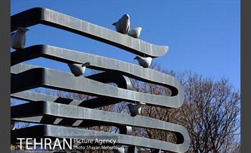 بوستان پلیس 51